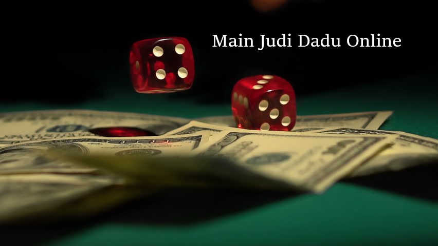 Main Judi Dadu Online